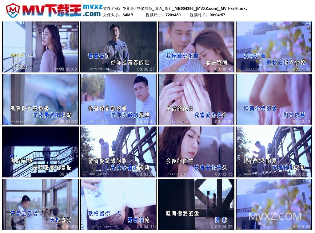 罗旭阳-与你白头_国语_流行_MB504396